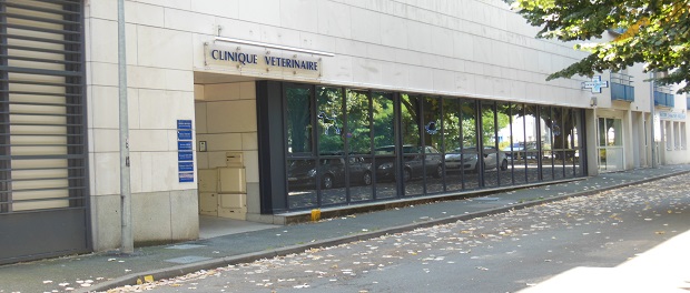 CLINIQUE VETERINAIRE - LA ROCHE SUR YON CLINIQUE VETERINAIRE - LA ROCHE SUR YON